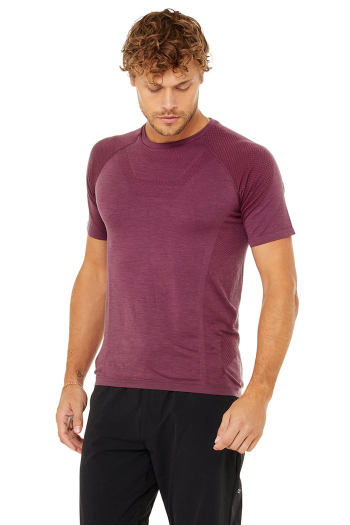 Alo Yoga Amplify Seamless Tee Men's Short Sleeve Red | 50LVZGAJR