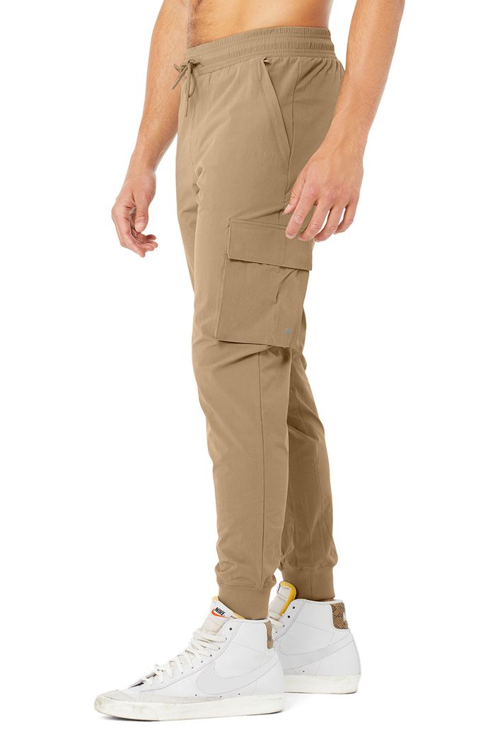 Alo Yoga Cargo Division Field Men's Pants Brown | 68BCELURM