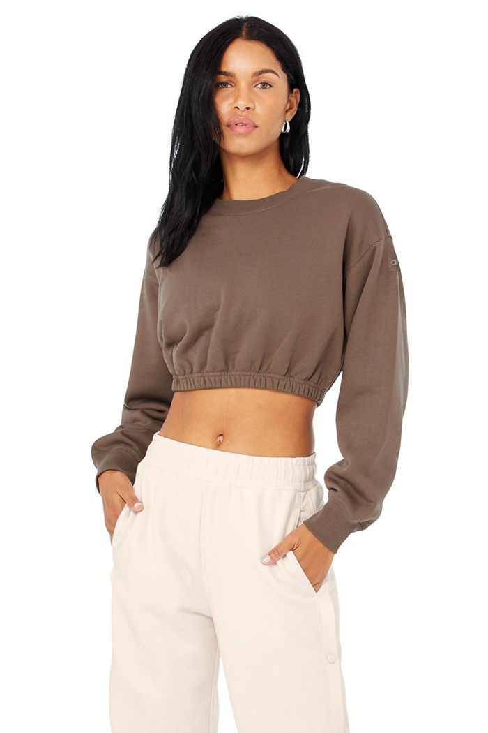 Alo Yoga Devotion Crew Neck Women's Pullover Brown | 06NEAUFKG