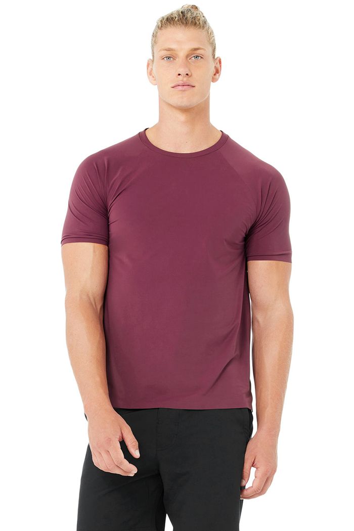 Alo Yoga Idol Performance Tee Men's Short Sleeve Red | 04ZBXKGFV