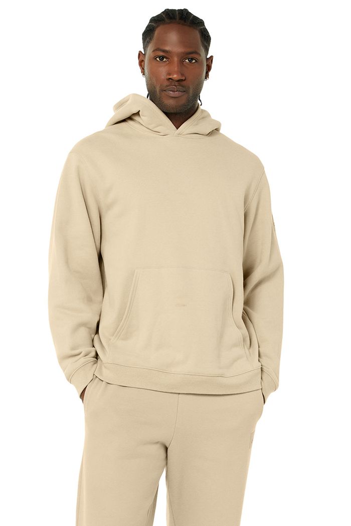 Alo Yoga Renown Men's Hoodie Brown | 58DZBFLCI