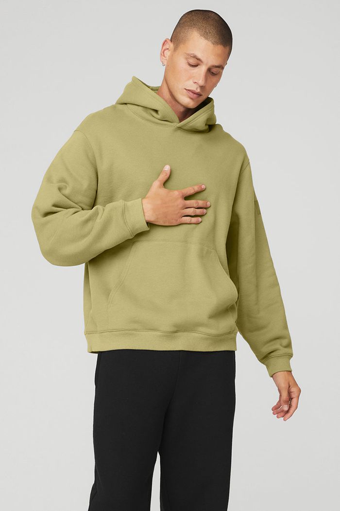 Alo Yoga Renown Men's Hoodie Green | 68LOYABCU