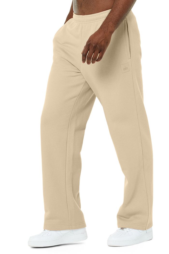 Alo Yoga Renown Sweat Men's Pants Brown | 31CWIBUQS