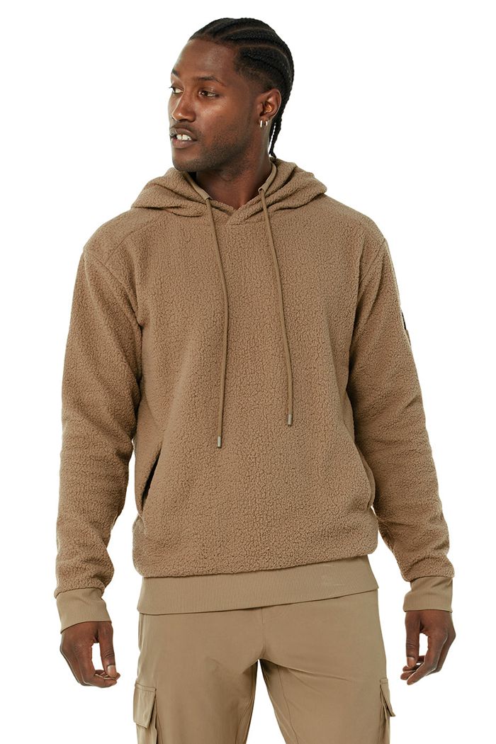 Alo Yoga Sherpa Men's Hoodie Brown | 06IWSCLGT