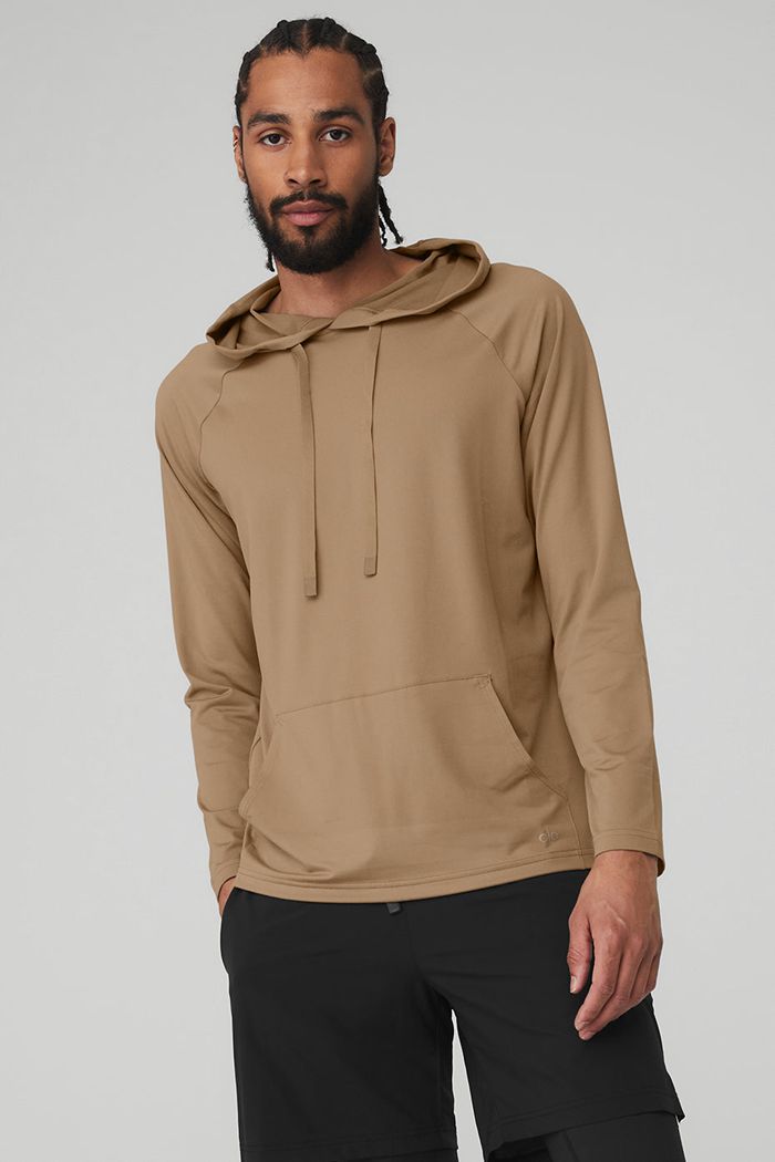 Alo Yoga The Conquer Men's Hoodie Brown | 12NASOKHC