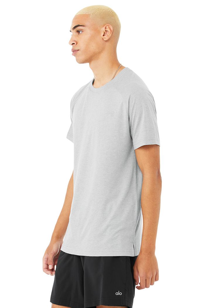 Alo Yoga The Triumph Crew Neck Tee Men's Short Sleeve Grey | 40GSNOCKD