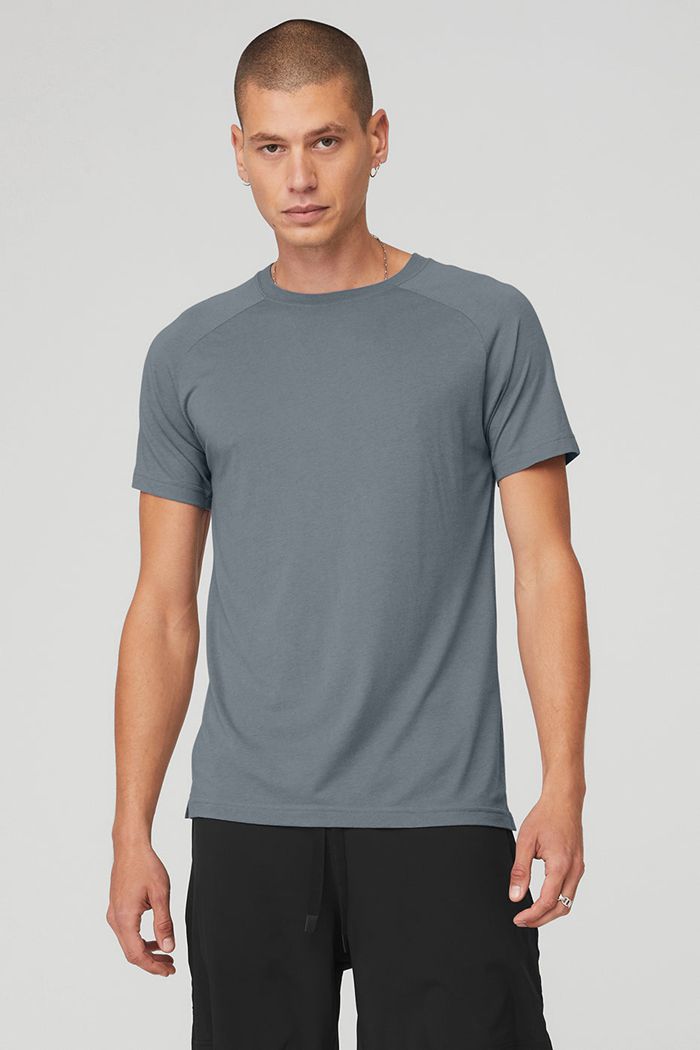 Alo Yoga The Triumph Crew Neck Tee Men's Short Sleeve Grey | 48GFSUEJY