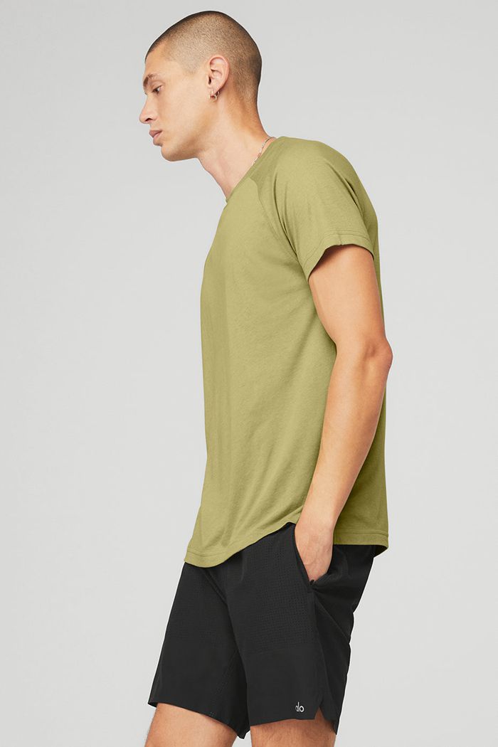 Alo Yoga The Triumph Crew Neck Tee Men's Short Sleeve Green | 56TXCOHYD