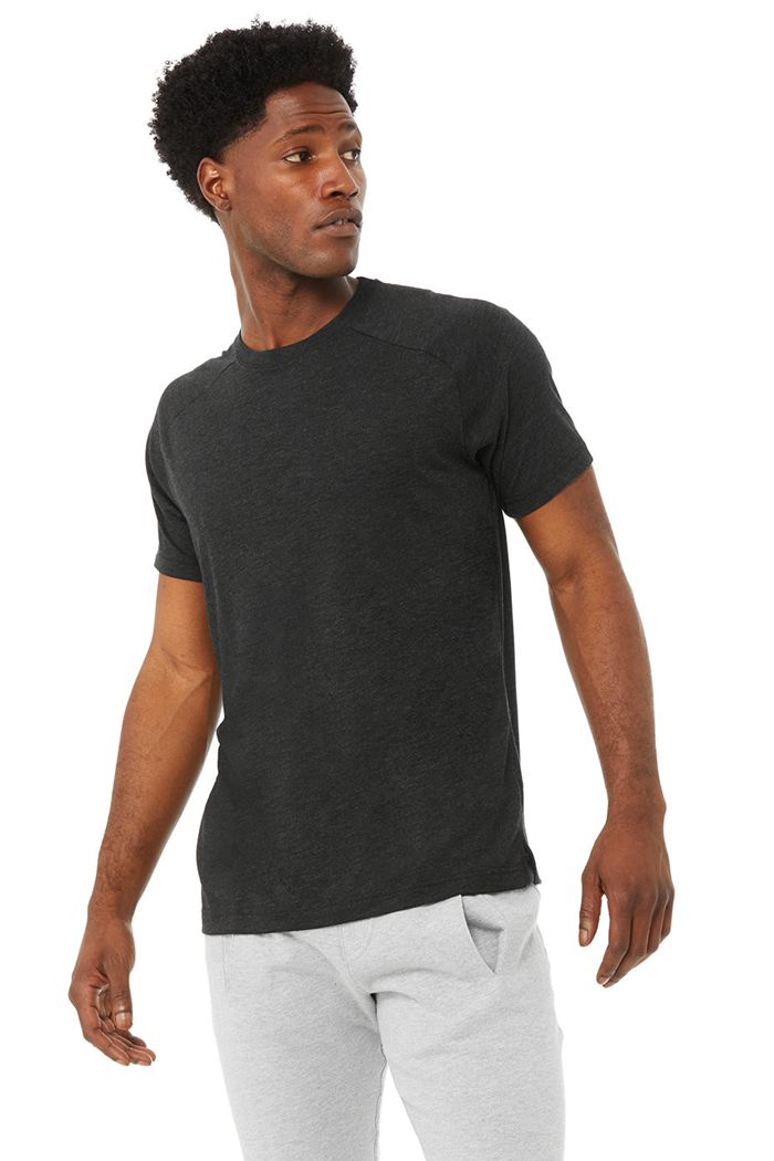 Alo Yoga The Triumph Crew Neck Tee Men's Short Sleeve Black | 73SFUVJCB