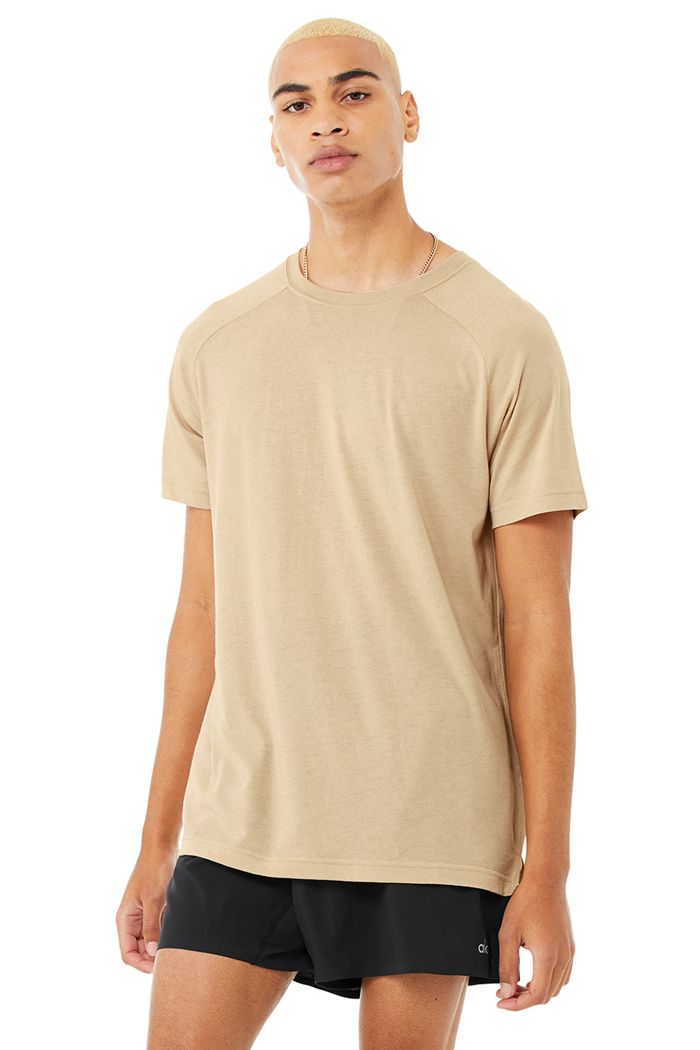 Alo Yoga The Triumph Crew Neck Tee Men's Short Sleeve Brown | 79MIXJBQH