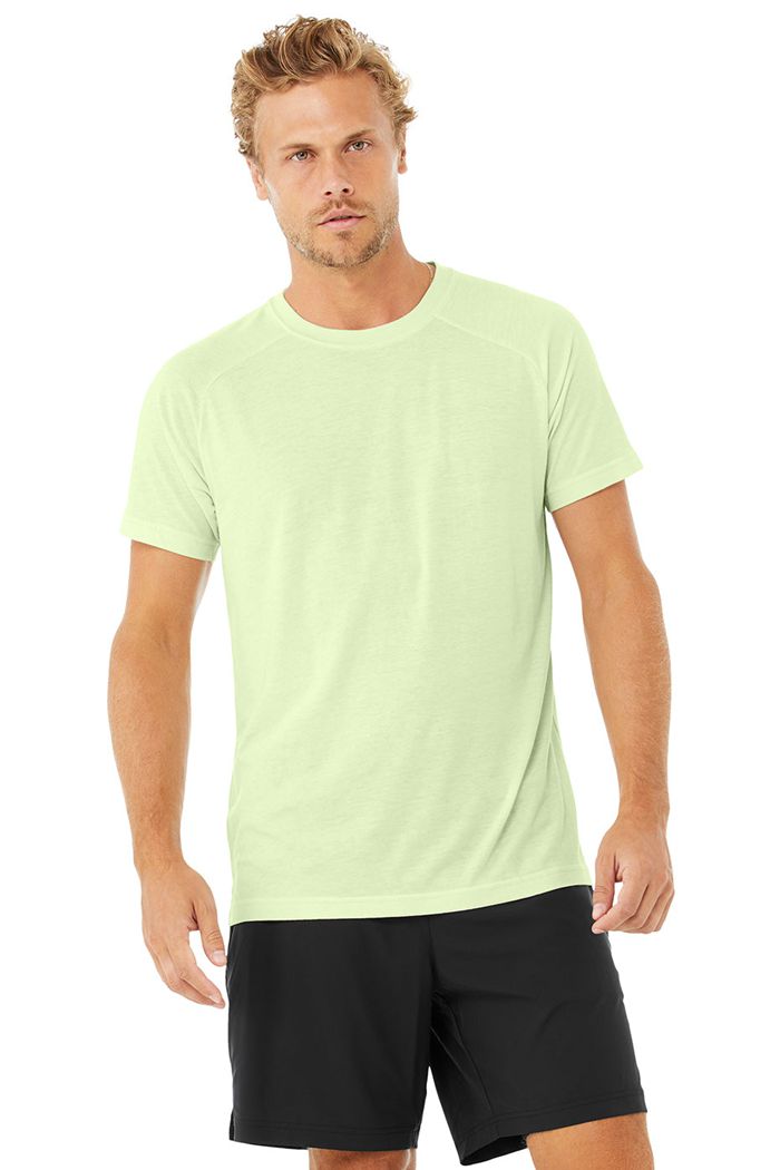 Alo Yoga The Triumph Crew Neck Tee Men's Short Sleeve Green | 97IZGDJKX