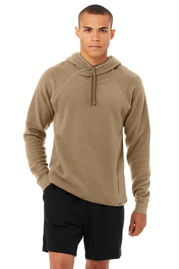 Alo Yoga The Triumph Men's Hoodie Brown | 21UTBIKCG