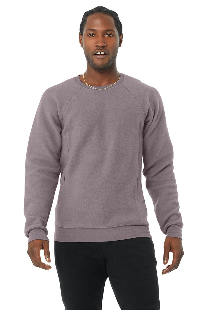 Alo Yoga Triumph Crew Neck Sweatshirt Men's Long Sleeve Purple | 54HNWLTEU