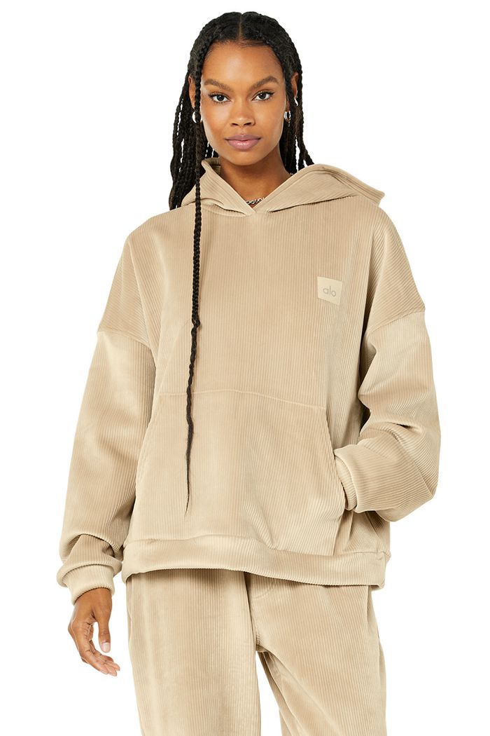 Alo Yoga Velour Baller Women's Hoodie Brown | 69HXSTBKJ