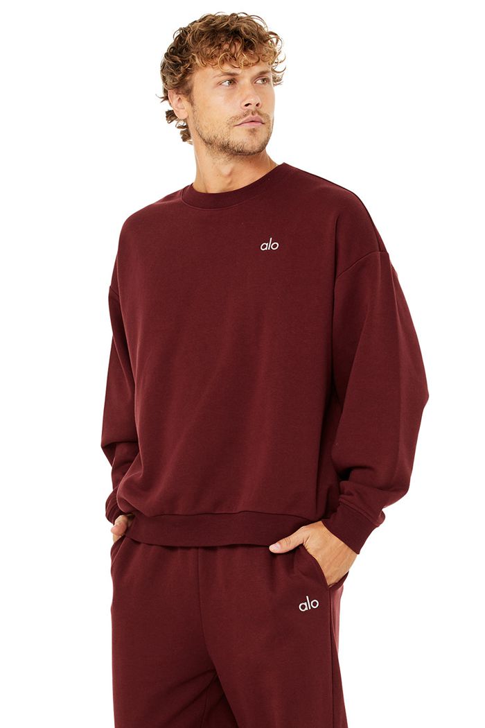 Alo Yoga Accolade Crew Neck Men's Pullover Red | 13VGSNUYX