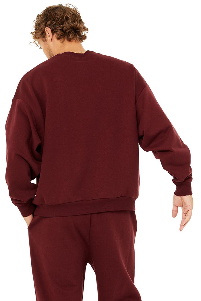 Alo Yoga Accolade Crew Neck Men's Pullover Red | 13VGSNUYX