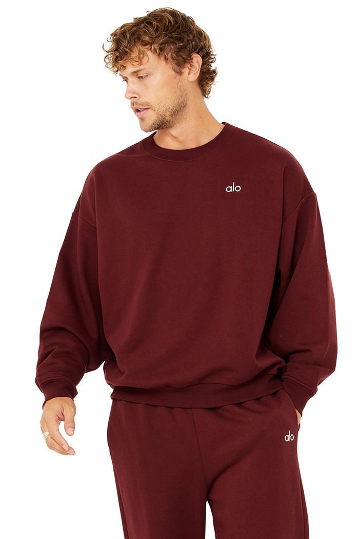 Alo Yoga Accolade Crew Neck Men\'s Pullover Red | 13VGSNUYX