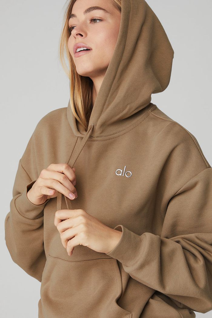 Alo Yoga Accolade Women's Hoodie Brown | 42ELJCIGP