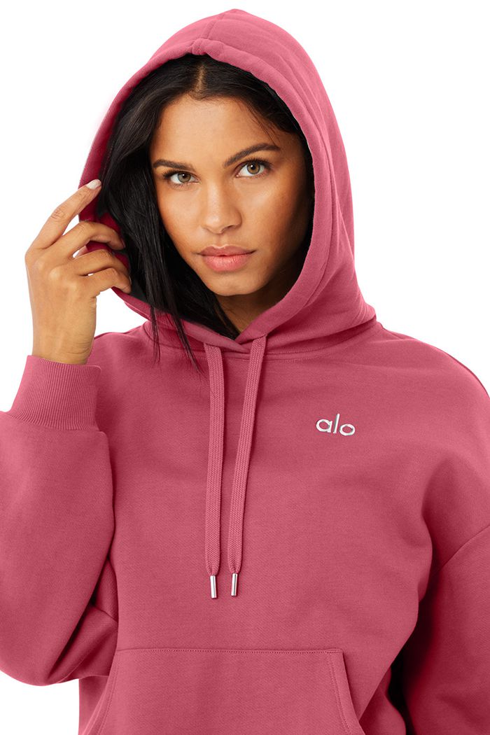 Alo Yoga Accolade Women's Hoodie Purple | 90ORPFVED