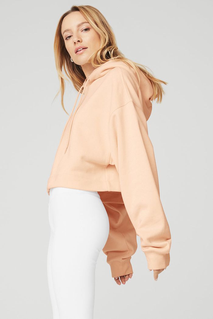 Alo Yoga Bae Women's Hoodie Beige | 30JGSKTXN