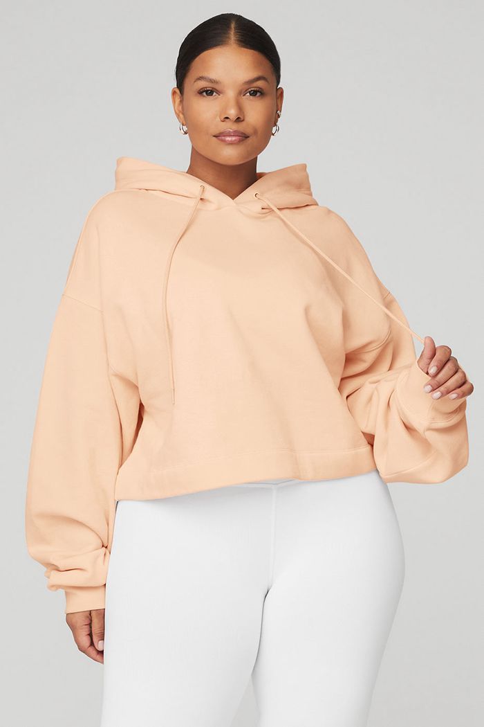 Alo Yoga Bae Women's Hoodie Beige | 30JGSKTXN