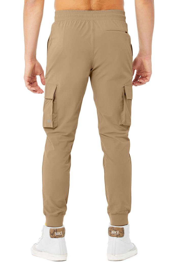 Alo Yoga Cargo Division Field Men's Pants Brown | 68BCELURM