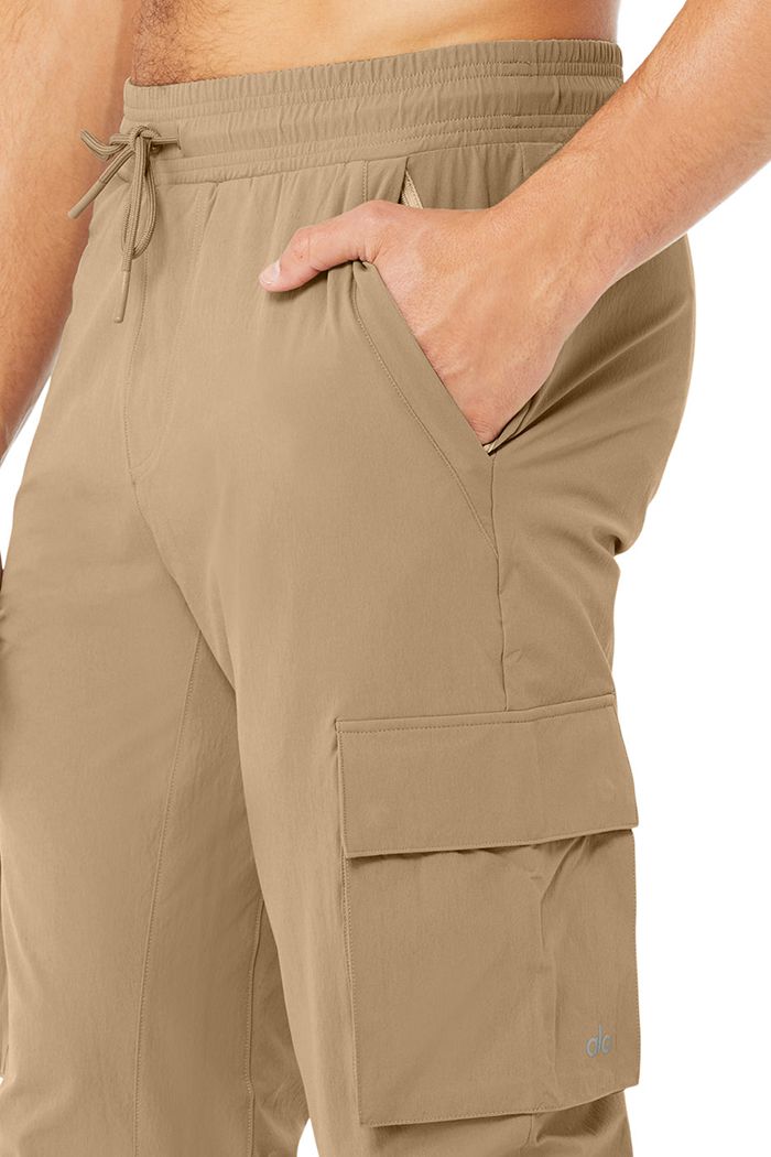 Alo Yoga Cargo Division Field Men's Pants Brown | 68BCELURM