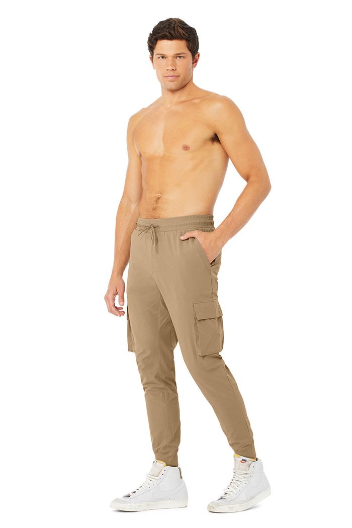 Alo Yoga Cargo Division Field Men's Pants Brown | 68BCELURM