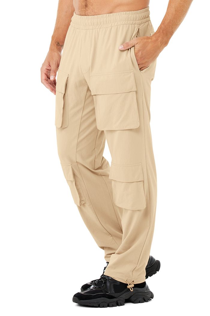 Alo Yoga Cargo Venture Men's Pants Brown | 78CKRTYFM