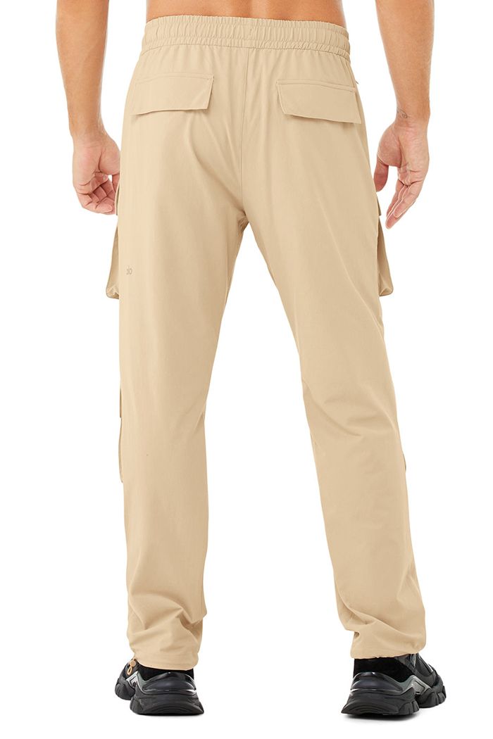 Alo Yoga Cargo Venture Men's Pants Brown | 78CKRTYFM