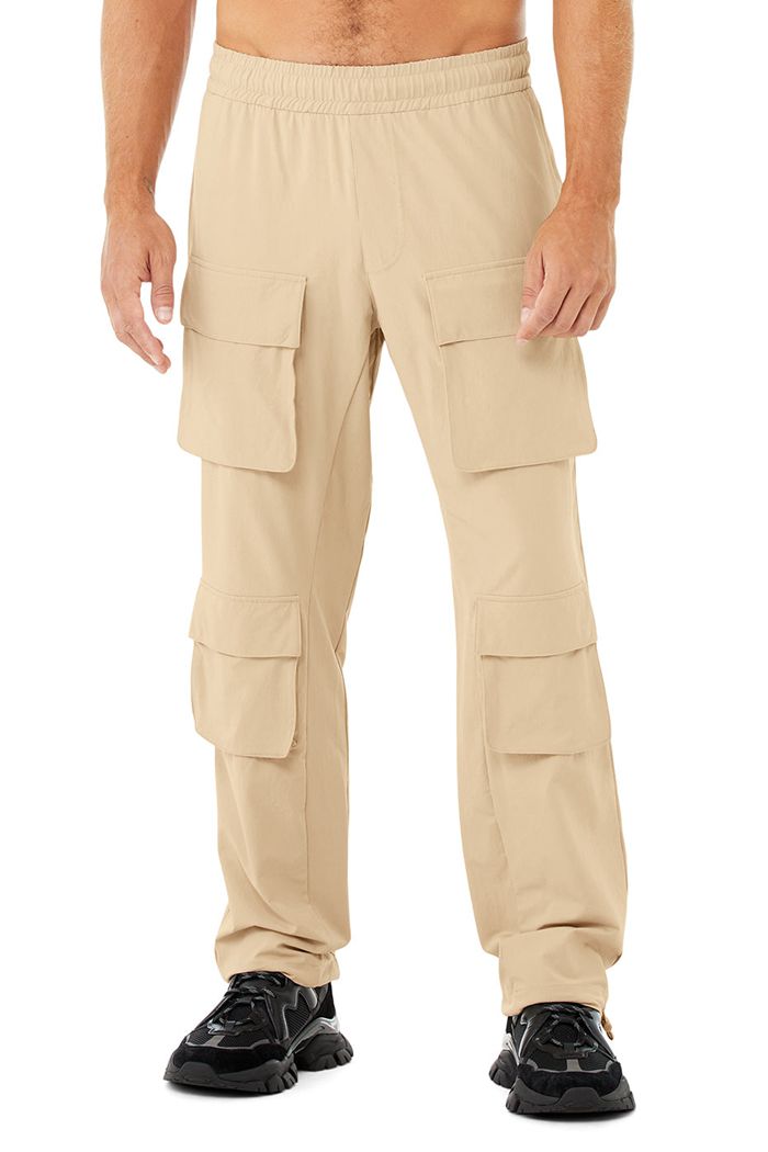 Alo Yoga Cargo Venture Men\'s Pants Brown | 78CKRTYFM