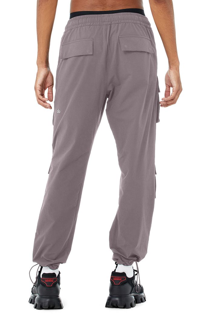 Alo Yoga Cargo Venture Men's Pants Purple | 20NKPSIQT