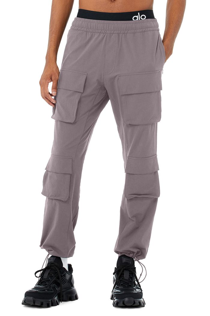 Alo Yoga Cargo Venture Men\'s Pants Purple | 20NKPSIQT