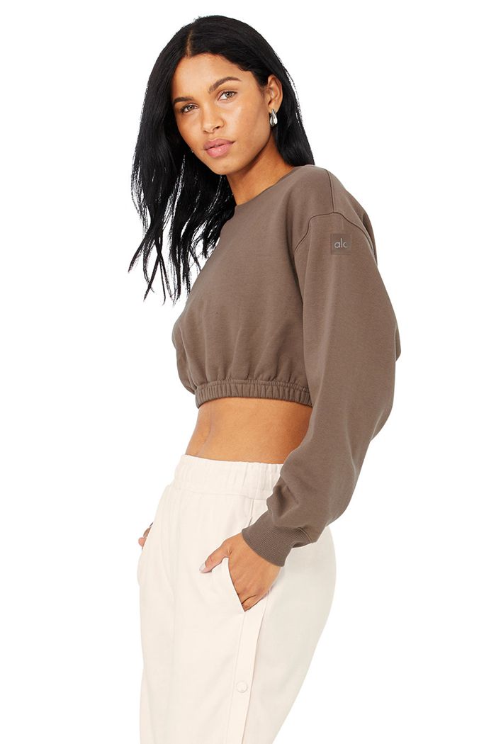 Alo Yoga Devotion Crew Neck Women's Pullover Brown | 06NEAUFKG