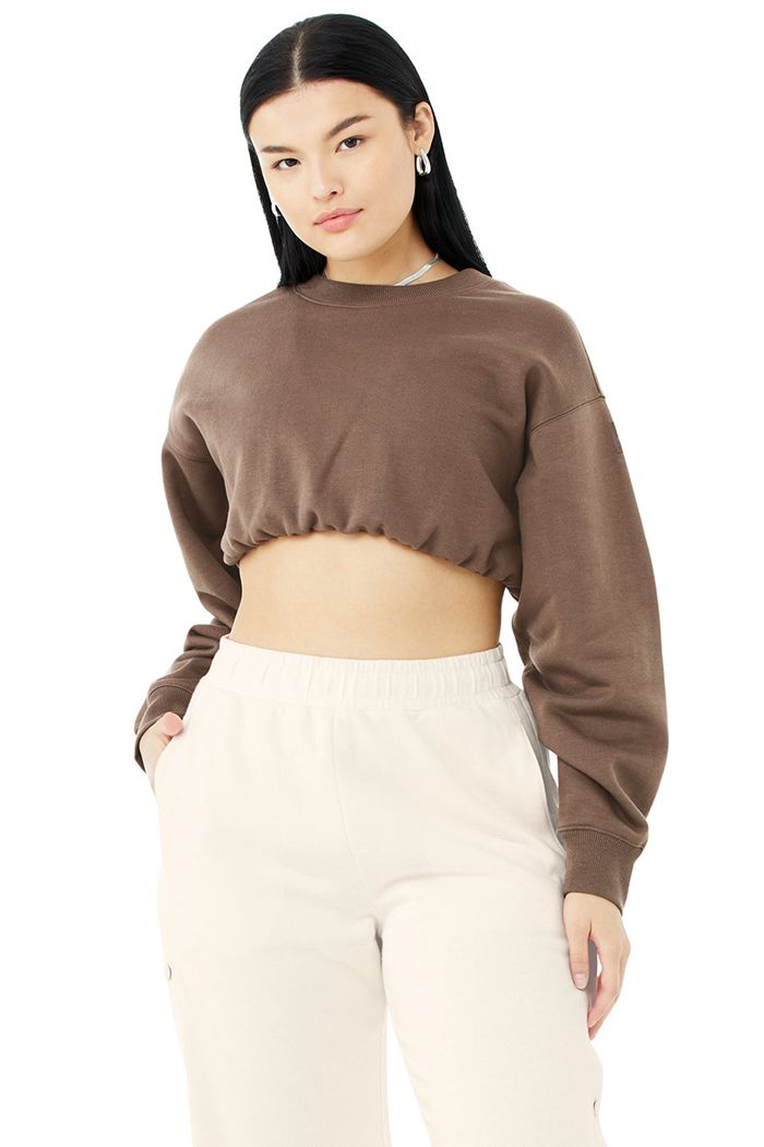 Alo Yoga Devotion Crew Neck Women's Pullover Brown | 06NEAUFKG