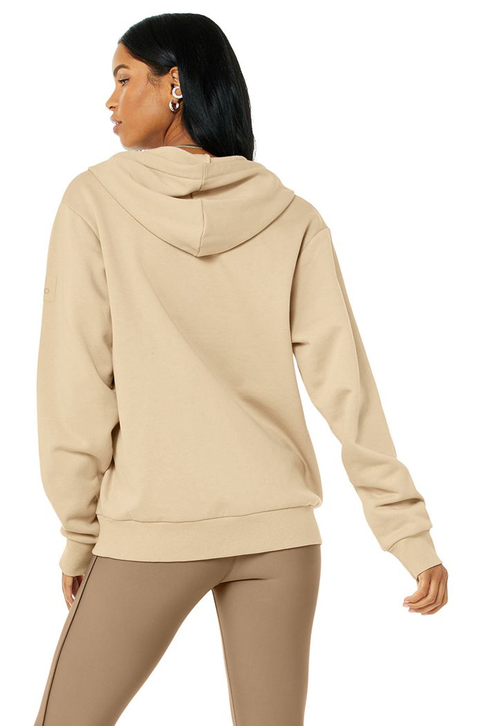 Alo Yoga Everyday Full Zip Women's Hoodie Brown | 69CPASBWN