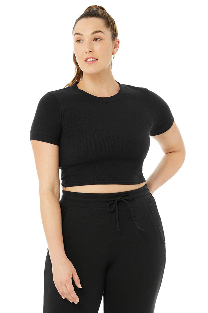 Alo Yoga Micro Waffle Sierra Women's Short Sleeve Black | 47DSBKMWP