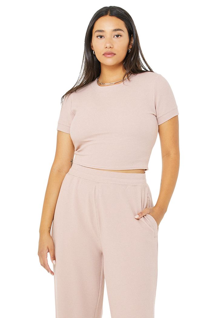 Alo Yoga Micro Waffle Sierra Women's Short Sleeve Pink | 91RVYHXWK