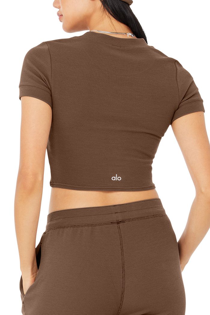 Alo Yoga Micro Waffle Sierra Women's Short Sleeve Brown | 95KEBZNFX