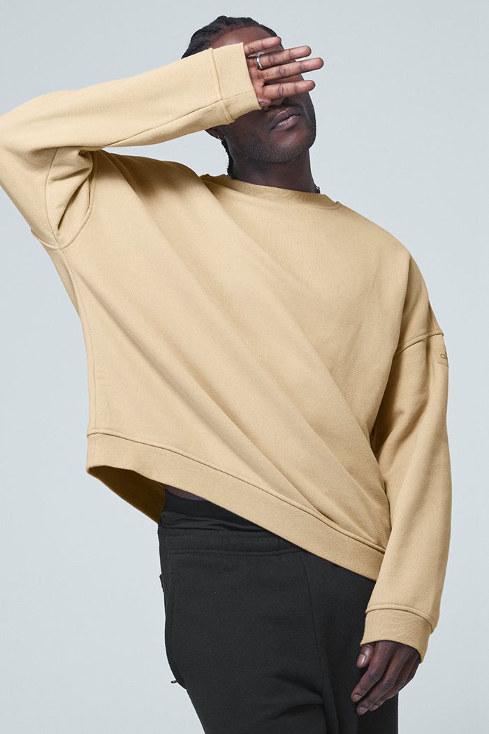 Alo Yoga Renown Crew Neck Men's Pullover Brown | 82GNISFUH