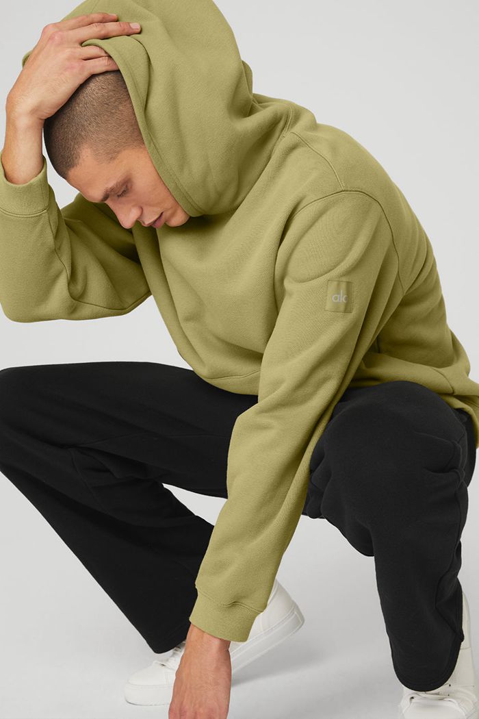 Alo Yoga Renown Men's Hoodie Green | 68LOYABCU