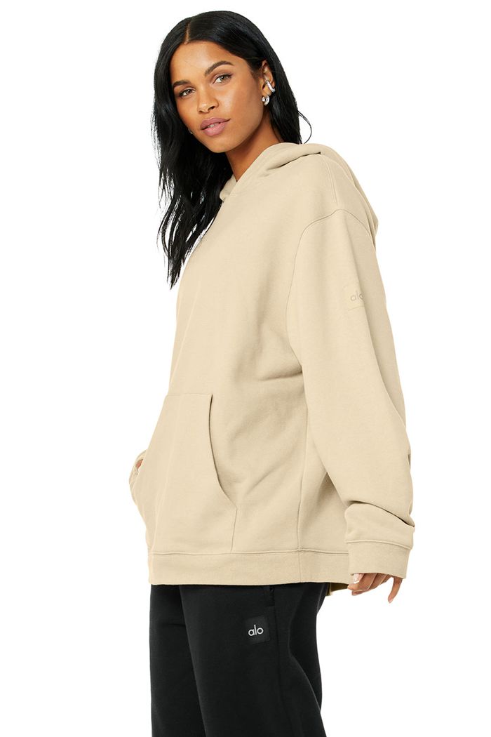 Alo Yoga Renown Women's Hoodie Brown | 08EKAFTZY