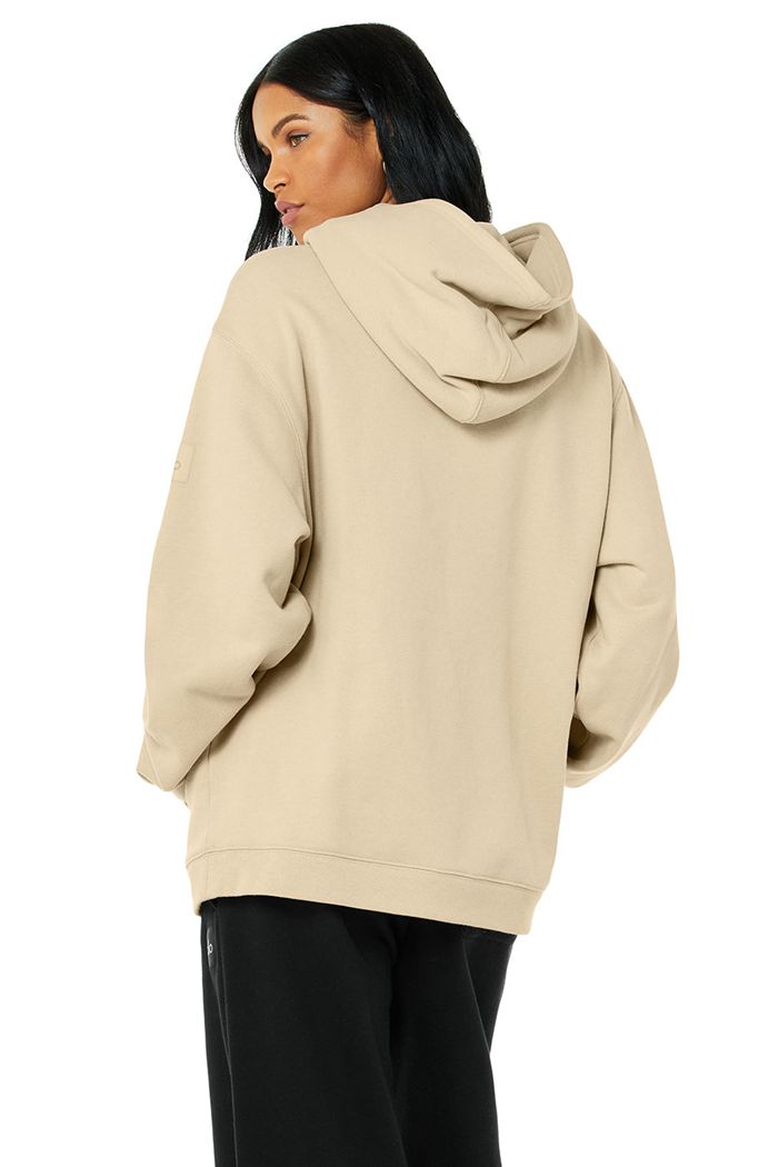 Alo Yoga Renown Women's Hoodie Brown | 08EKAFTZY