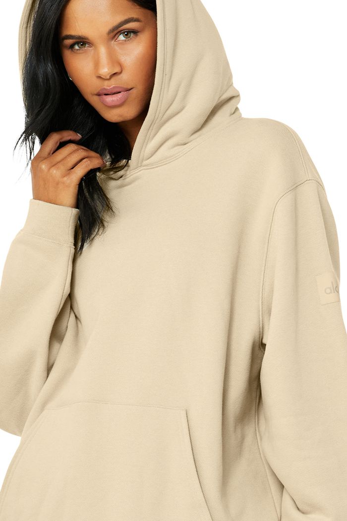 Alo Yoga Renown Women's Hoodie Brown | 08EKAFTZY