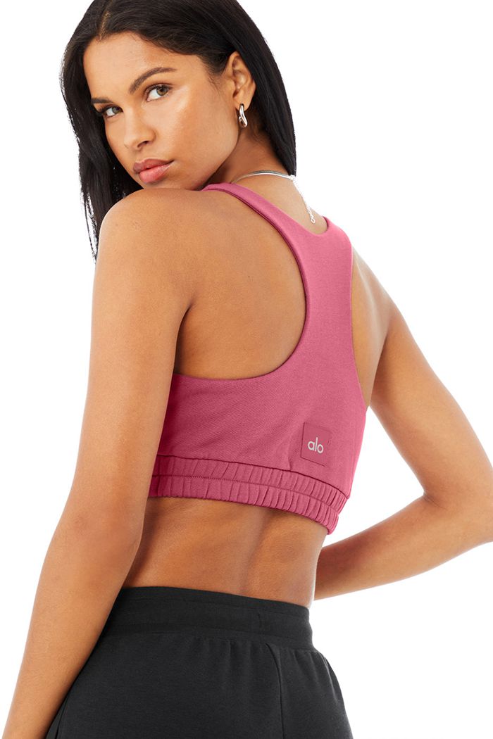 Alo Yoga Scoop Neck Sweatshirt Women's Bras Purple | 15WXEMUCZ