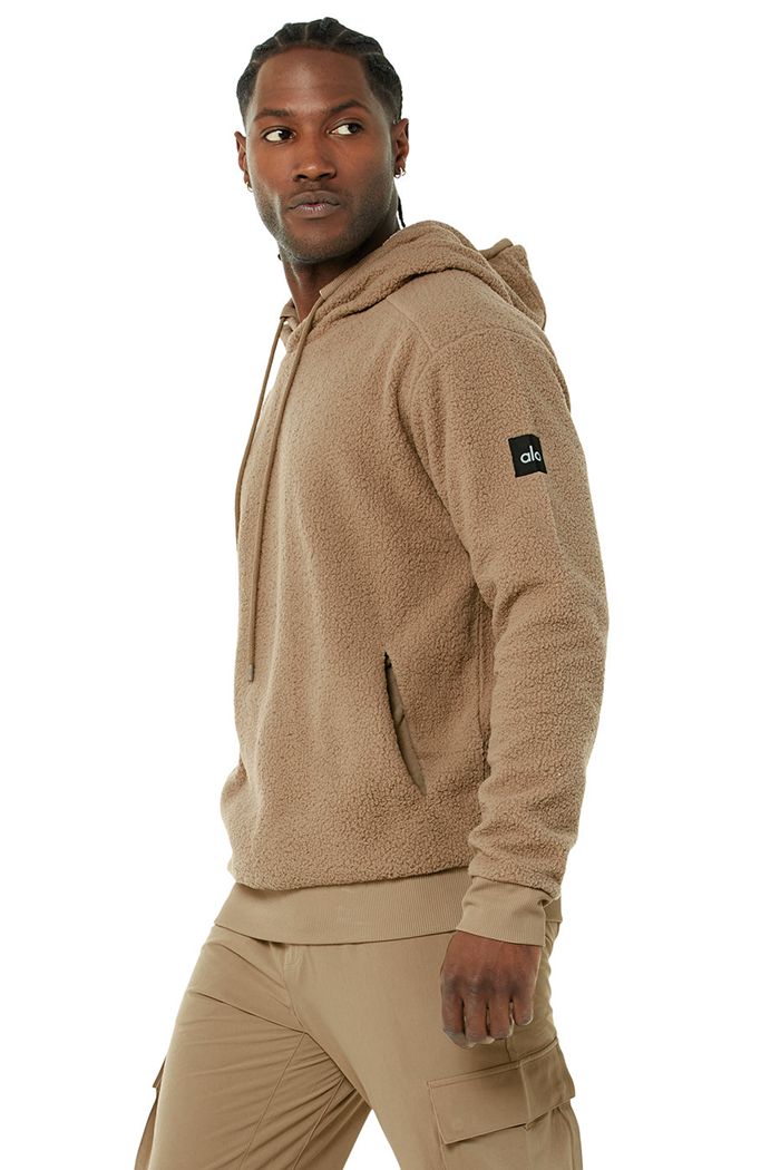 Alo Yoga Sherpa Men's Hoodie Brown | 06IWSCLGT