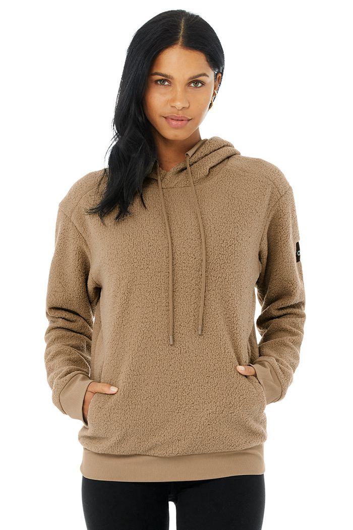 Alo Yoga Sherpa Men's Hoodie Brown | 06IWSCLGT