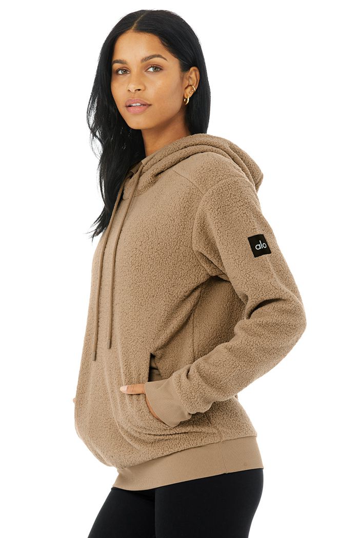 Alo Yoga Sherpa Men's Hoodie Brown | 06IWSCLGT