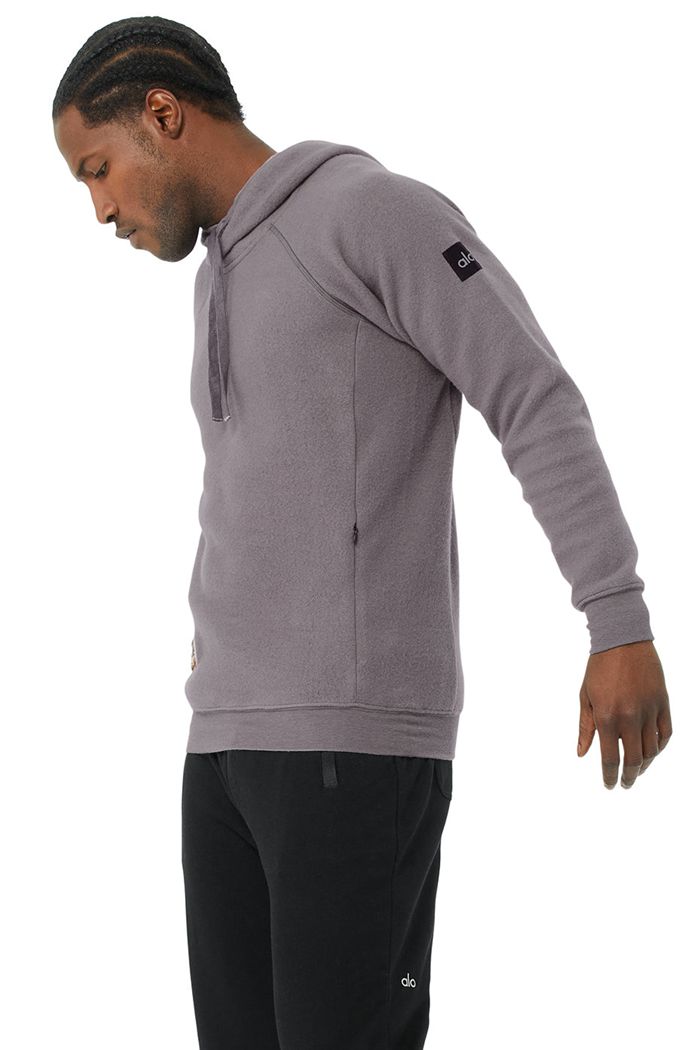 Alo Yoga The Triumph Men's Hoodie Purple | 34NJQBKPZ