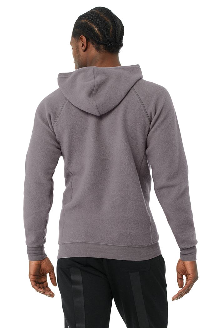 Alo Yoga The Triumph Men's Hoodie Purple | 34NJQBKPZ